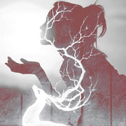 夜兔的个人资料头像