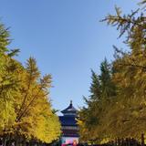 用户9542438105591头像