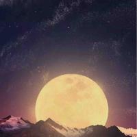 百折不挠的熊熊头像