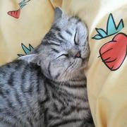 Sihgyu97363的个人资料头像