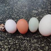 没人在家请按门铃的个人资料头像