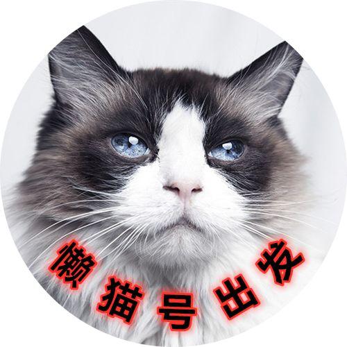 懒猫号出发头像