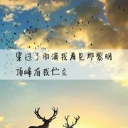 翼鸣的个人资料头像