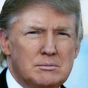DonaldTrump的个人资料头像
