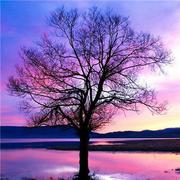 undefined的个人资料头像