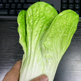 河源房产销售黄生头像
