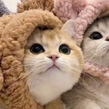 哪壶2头像