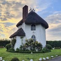 糊里糊涂胡图图头像