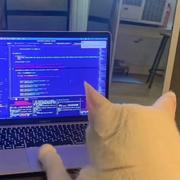 旧绪浮生的个人资料头像