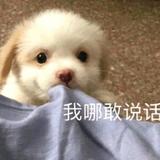 钟情1731头像