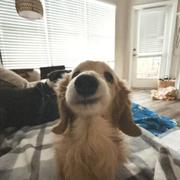 晨晨分享AI的个人资料头像