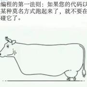 皮卡丘518的个人资料头像