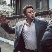 一只特立独行的猪L的个人资料头像