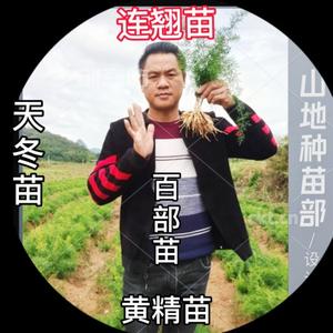 山地苗大帅头像