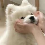 可靠沙滩R1N头像
