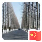 一叶知秋13779头像