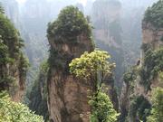 小飞镖的个人资料头像