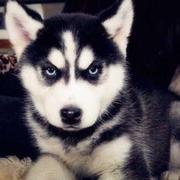 酒客717的个人资料头像