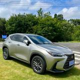 雷克萨斯KennyW头像