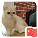 瘾本尊的个人资料头像