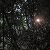 用户6437953174030头像