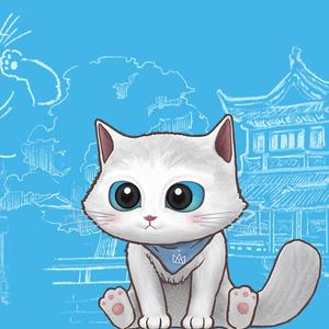 hello猫咪头像