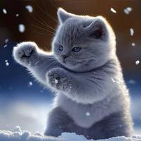 用户5841835497047头像