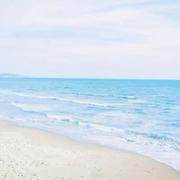 wyf912的个人资料头像