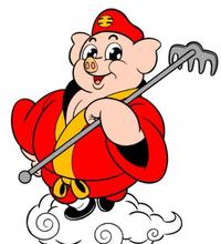 斌哥聊电车堂果新能源头像