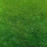 江霞765头像
