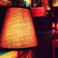 我家门前有两棵树头像