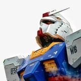 绿箩口味虾头像