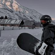 是鲁的个人资料头像