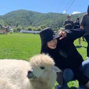 温和些吧的个人资料头像