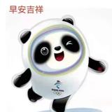 123冰墩墩123头像