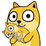 王校长722的个人资料头像