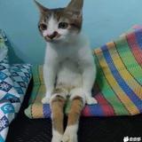 用户1725165843617头像