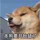 绿帽子哥第99号头像