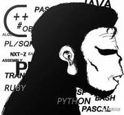 一张猿的个人资料头像