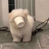 ᝰꫛꫀꪝ965头像