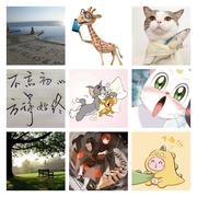 cmit_zhyytFrontend的个人资料头像