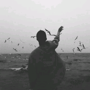 前兔无量头像