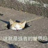 水良1220头像