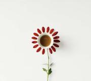 徙回风日的个人资料头像