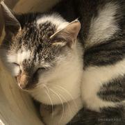 s_yq的个人资料头像