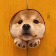 喵喵酱159的个人资料头像