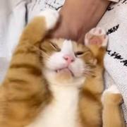 阿阿G的个人资料头像