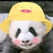 好运爆彭的个人资料头像