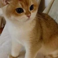 用户977857441996头像