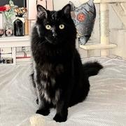 Leif的个人资料头像